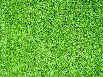 Plant wall texture (ID:ffaff1902)