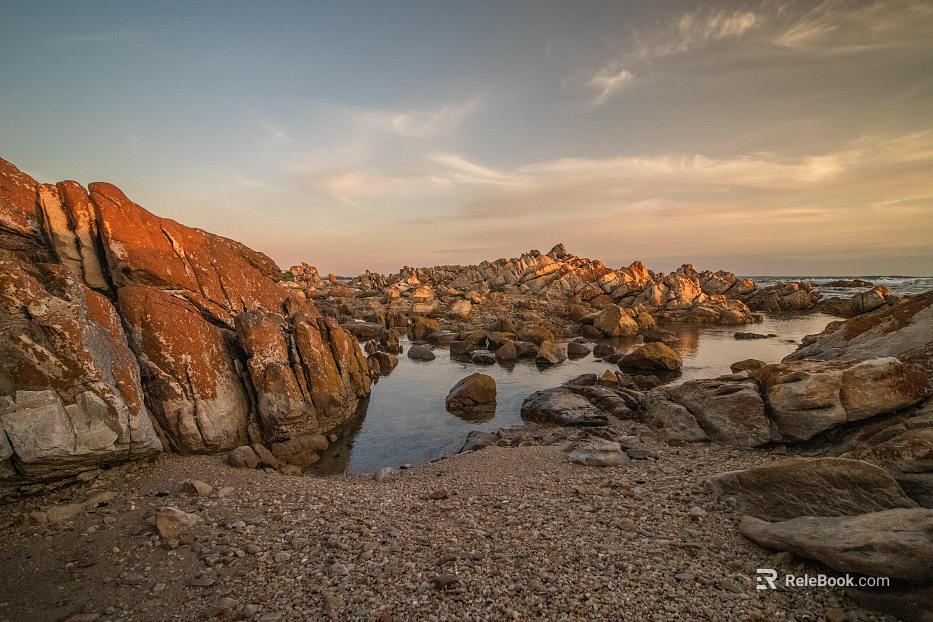 Wild Scenery texture