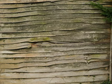 Wooden panel texture (ID:ffagg50221)