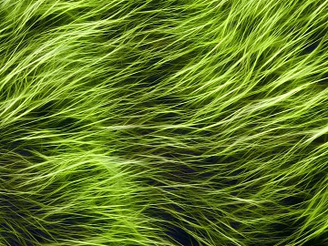 Turf texture (ID:ffabg11704)