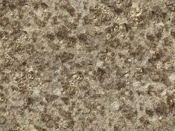 Turf ground texture (ID:ffaaf1492)