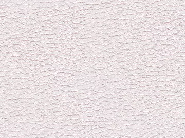 Coarse-grain leather texture (ID:ffajg99900)