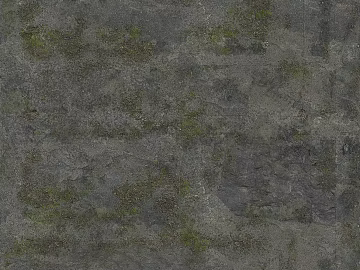 Green gray moss rock outdoor wall texture (ID:ffaeh648721)