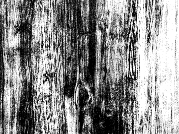 Black and White Bump texture (ID:ffagg55156)