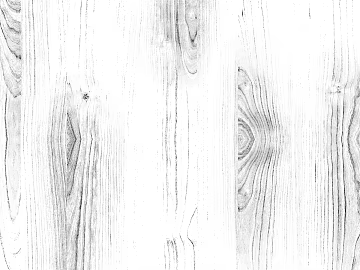 Black and white wood grain texture (ID:ffagg68999)