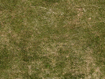 Turf texture (ID:ffabf2295)