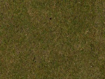 Turf texture (ID:ffach384965)