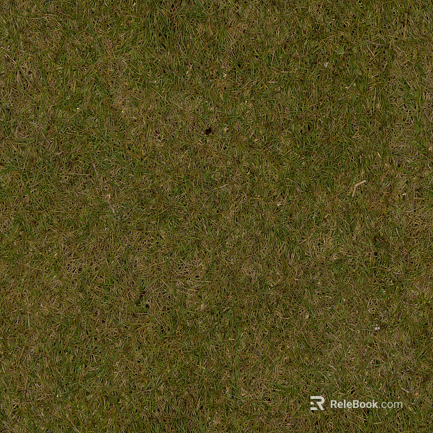 Turf texture