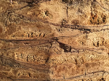 earth wall texture (ID:ffabg51843)