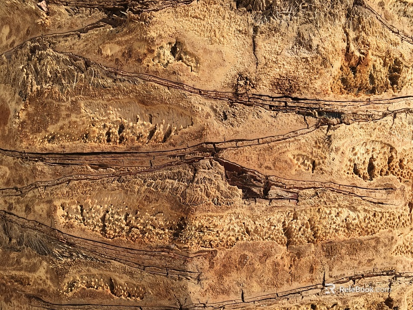 earth wall texture