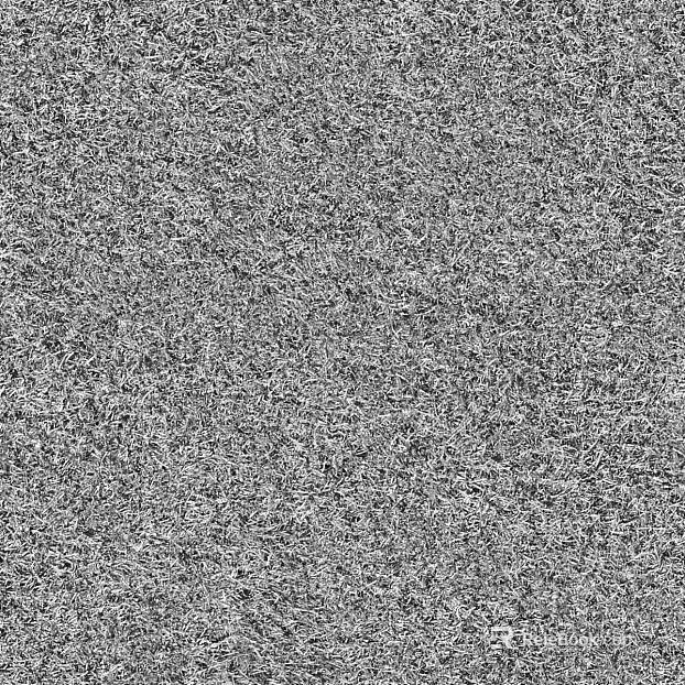 Ground black and white map texture