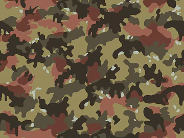 camouflage cloth pattern texture (ID:ffhge683)