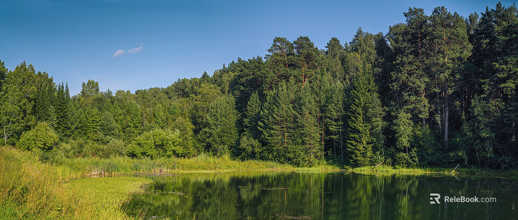 Mirror lake water forest surrounded by blue sky white clouds daytime forest lake texture