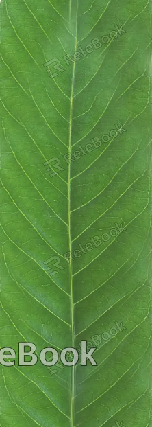 leaves texture