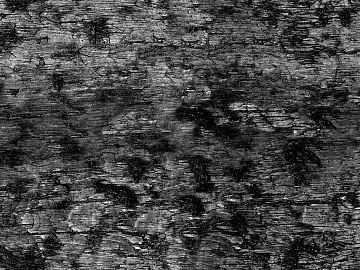 Black and White Bump texture (ID:ffacg75132)