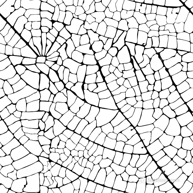 Black and White Bump texture