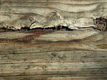 old wood texture (ID:ffagg09051)