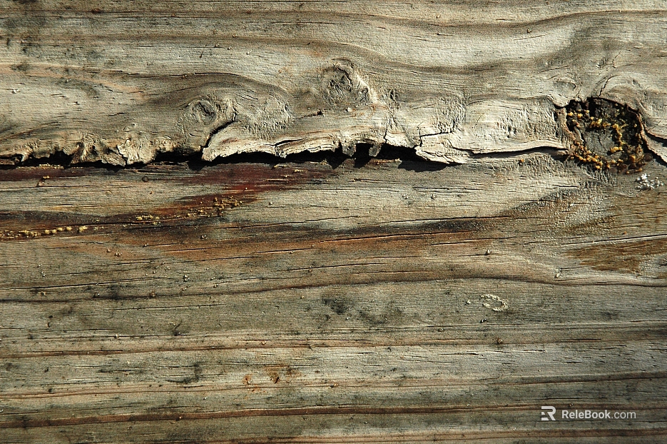 old wood texture
