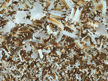 Brown white crushed stone floor finish 3d model