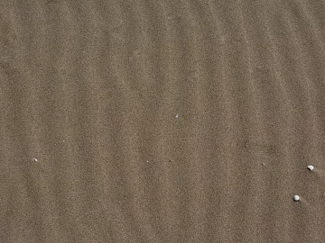 Sand texture (ID:ffagg40425)