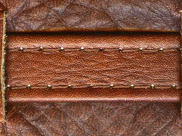 fine grain leather 3d model