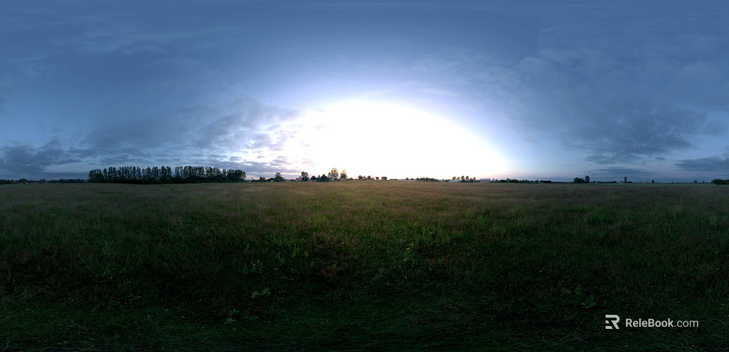 Outdoor Grass Day HDR texture