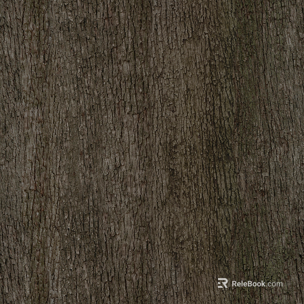 ancient tree bark texture