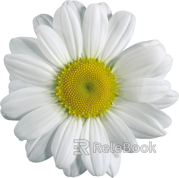 Flowers texture