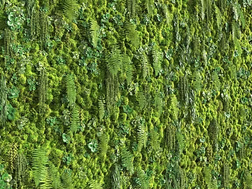 moss texture (ID:ffach593074)