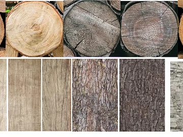 annual rings texture (ID:ffacg56146)