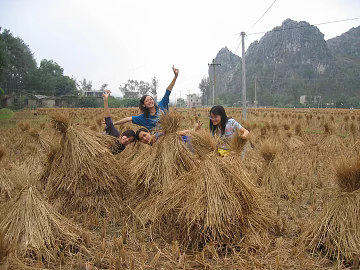 Pastoral scenery texture (ID:ffacg90060)