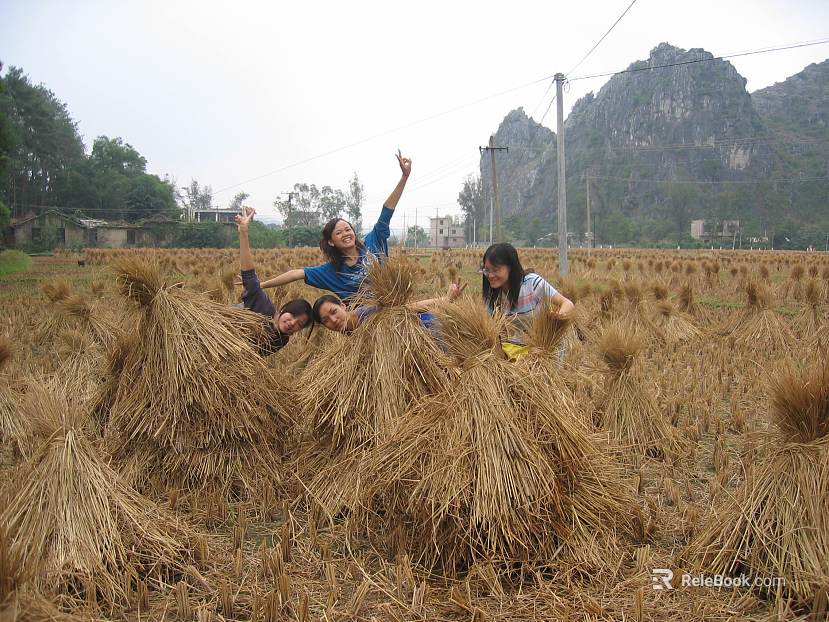 Pastoral scenery texture