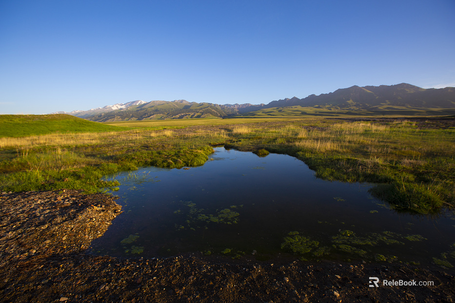 Wild Scenery texture