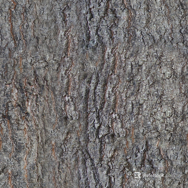 bark texture