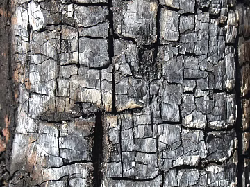 Charcoal roasted mahogany texture (ID:ffaeg90391)