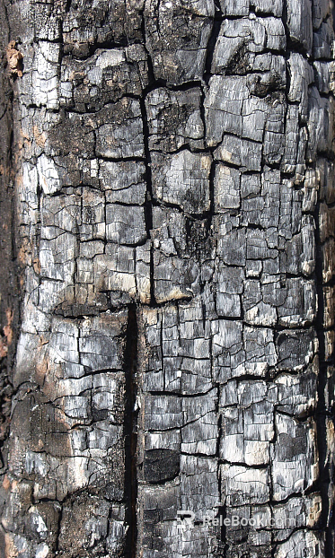 Charcoal roasted mahogany texture