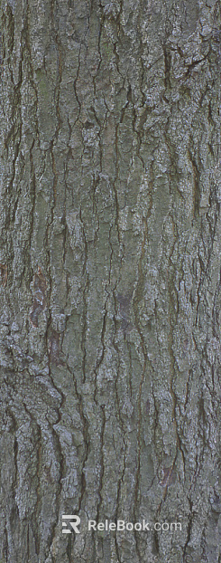 bark texture
