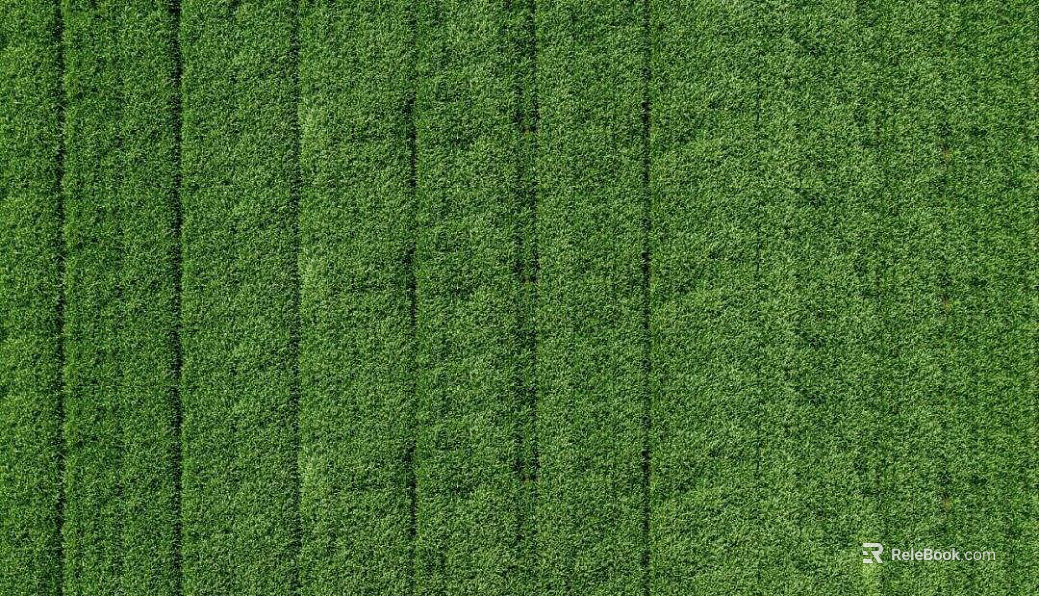 Plants texture