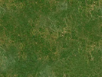 Turf texture (ID:ffach583816)