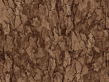 bark texture (ID:ffaeg03207)