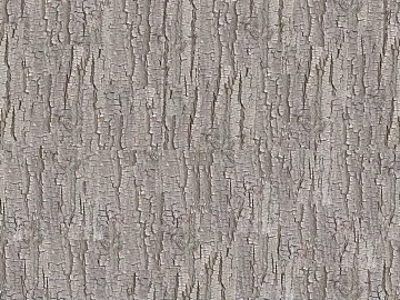 bark texture (ID:ffaag73254)