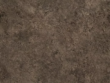 Mud texture (ID:ffadf0575)