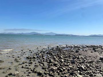 modern landscape sea surface 3d model