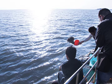 Sea texture (ID:ffagg25731)