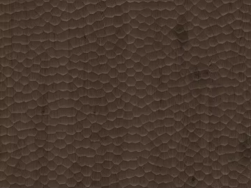 Dark Brown Hammer Panel texture (ID:ffaeh063966)