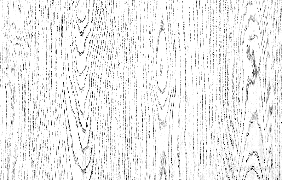 Black and white wood grain texture