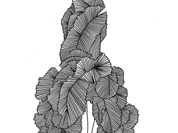 black and white painting texture (ID:ffaeg08058)