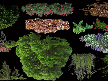 Multi-category green plant flower landscape material texture (ID:ffaeh393426)