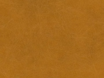fine grain leather texture (ID:ffach070066)