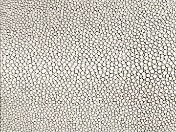Stone Paving texture (ID:ffaeg63546)